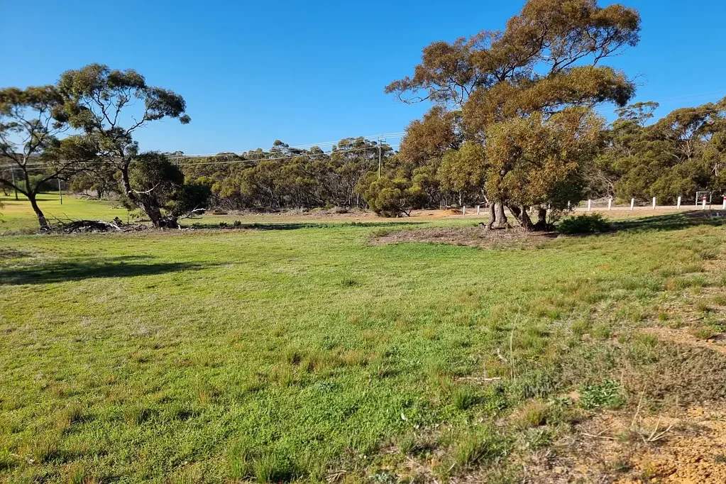 99 Martin Street, Ravensthorpe, WA 6346