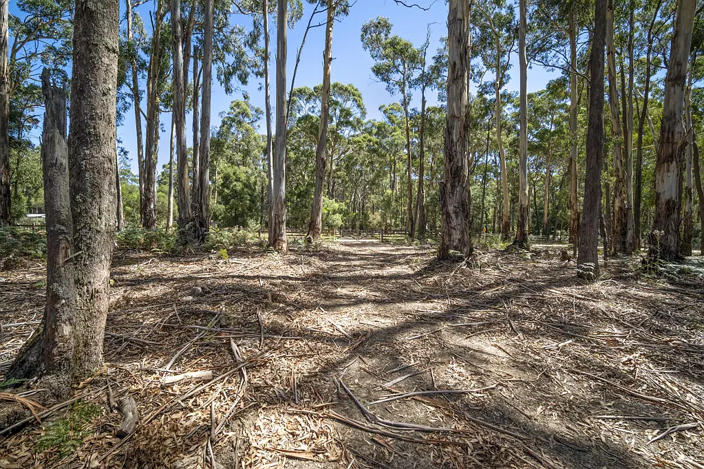 75 Gays Road, Wheatsheaf, VIC 3461