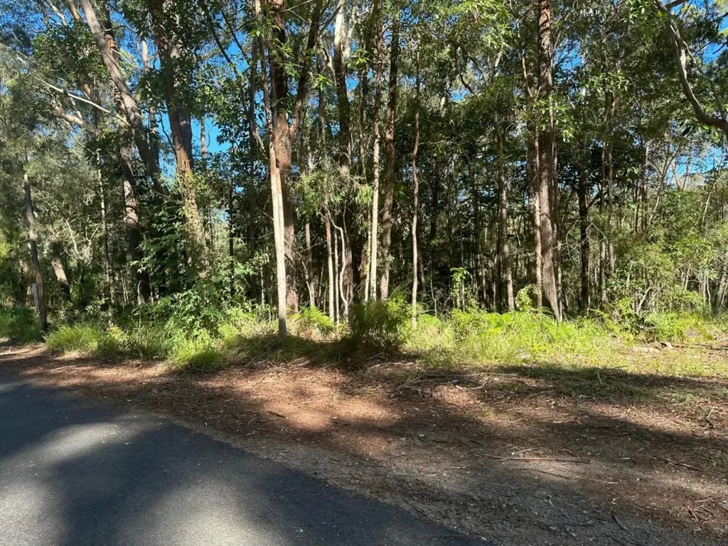 Russell Island Sealed Road, North facing
