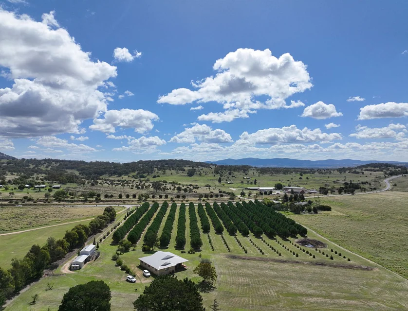 362 New England Highway, Tenterfield, Tamworth, 4 Kuwarto, 2 Banyo, House