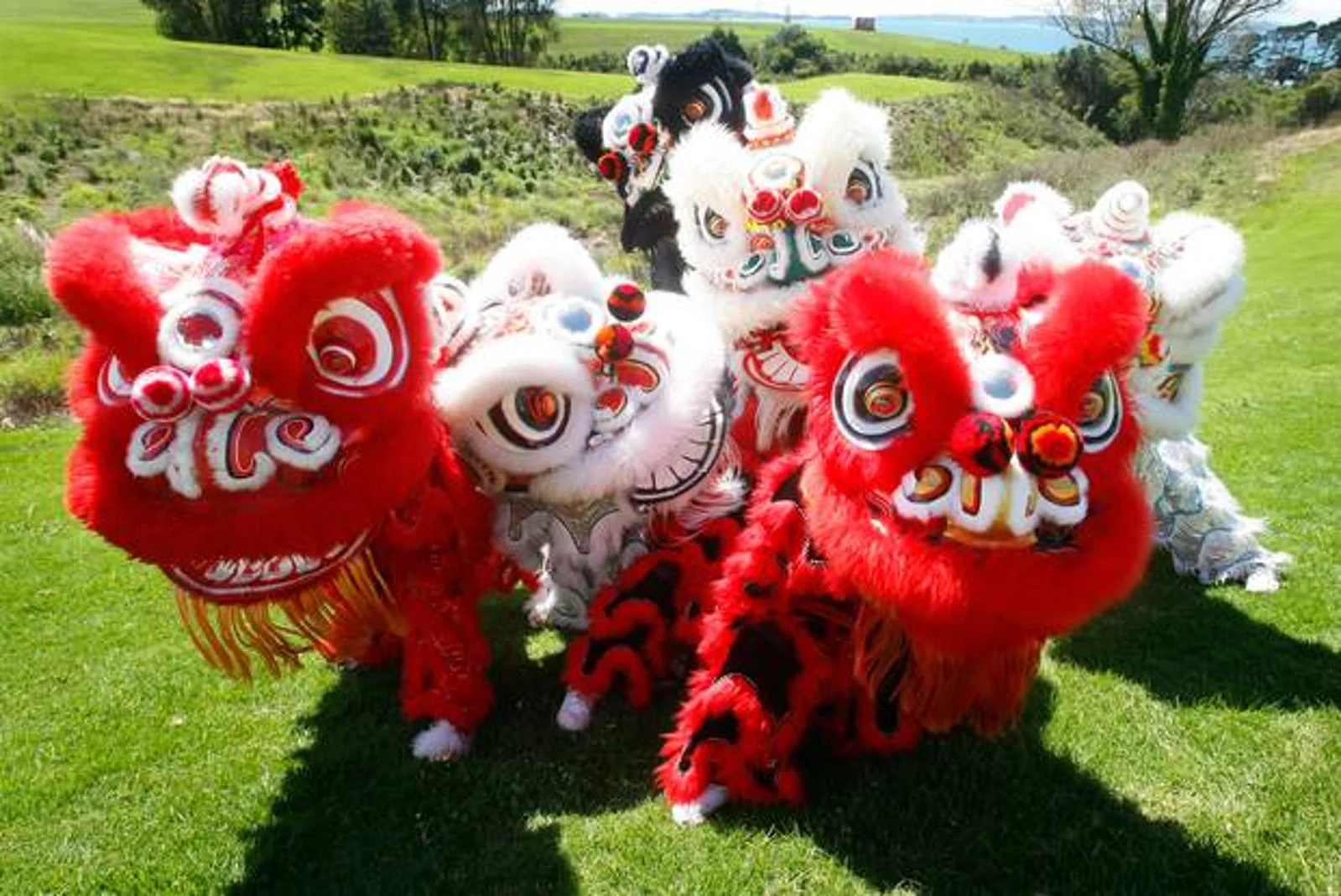 奥克兰喜迎中秋！下周末狂欢：史上最大月饼|舞狮|赏灯笼