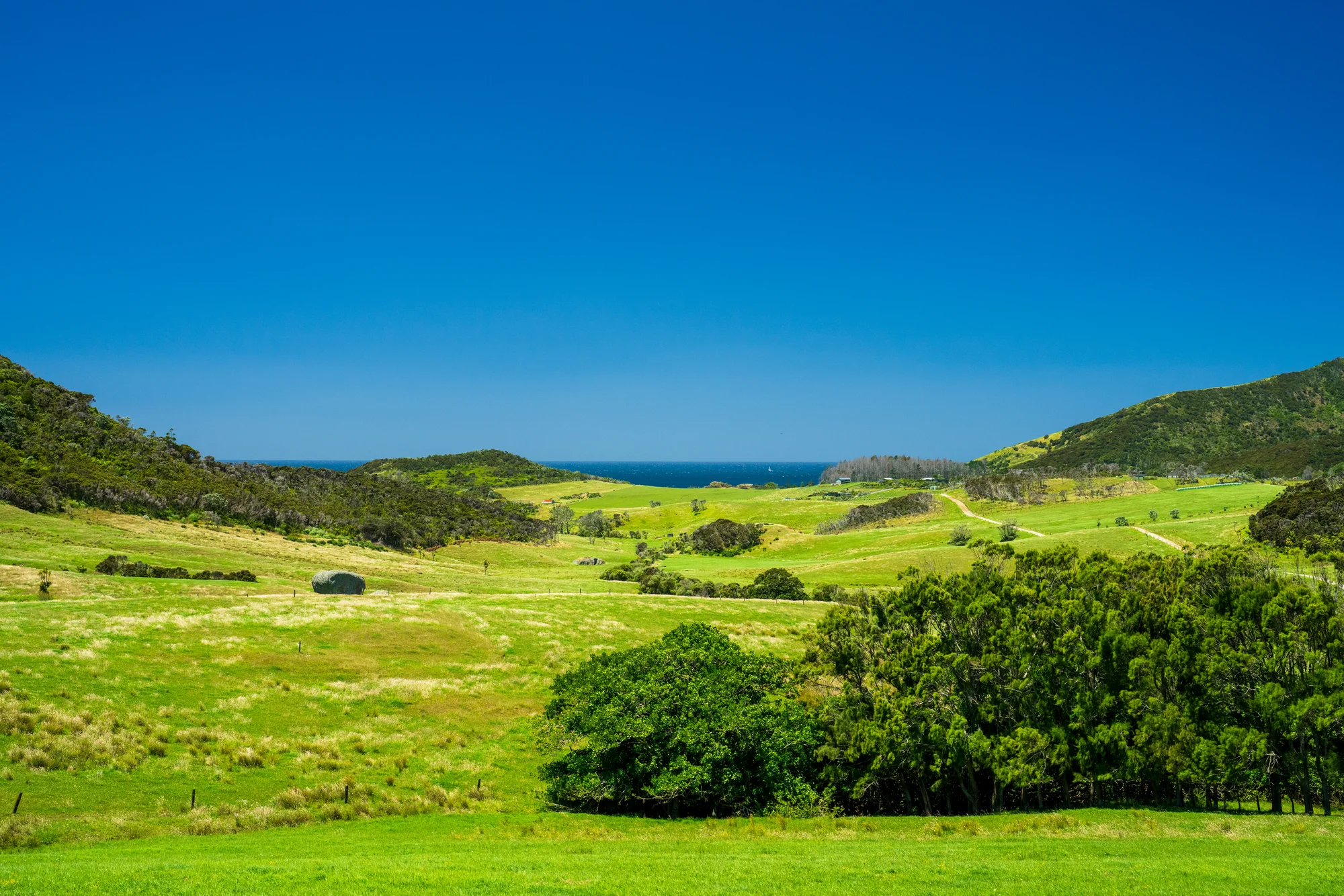 Whangarei Heads Mountains & Sea Views - Covenant Free