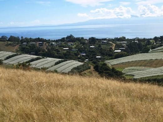 Hauraki Gulf Islands