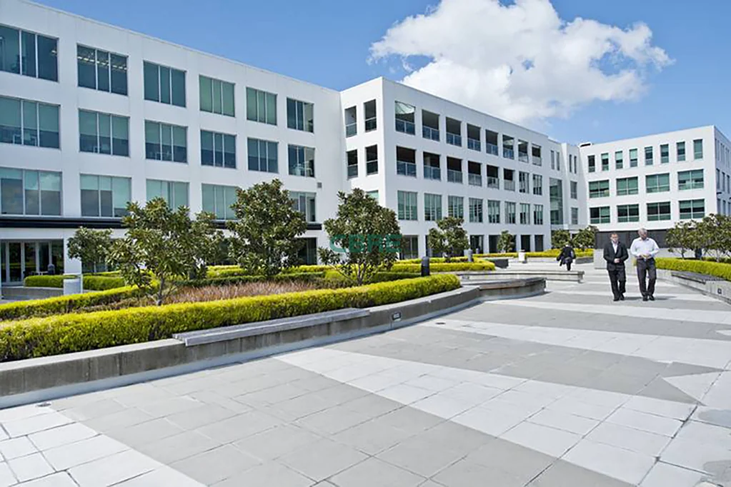 Mount Eden  CBRE - Lease One or Both!