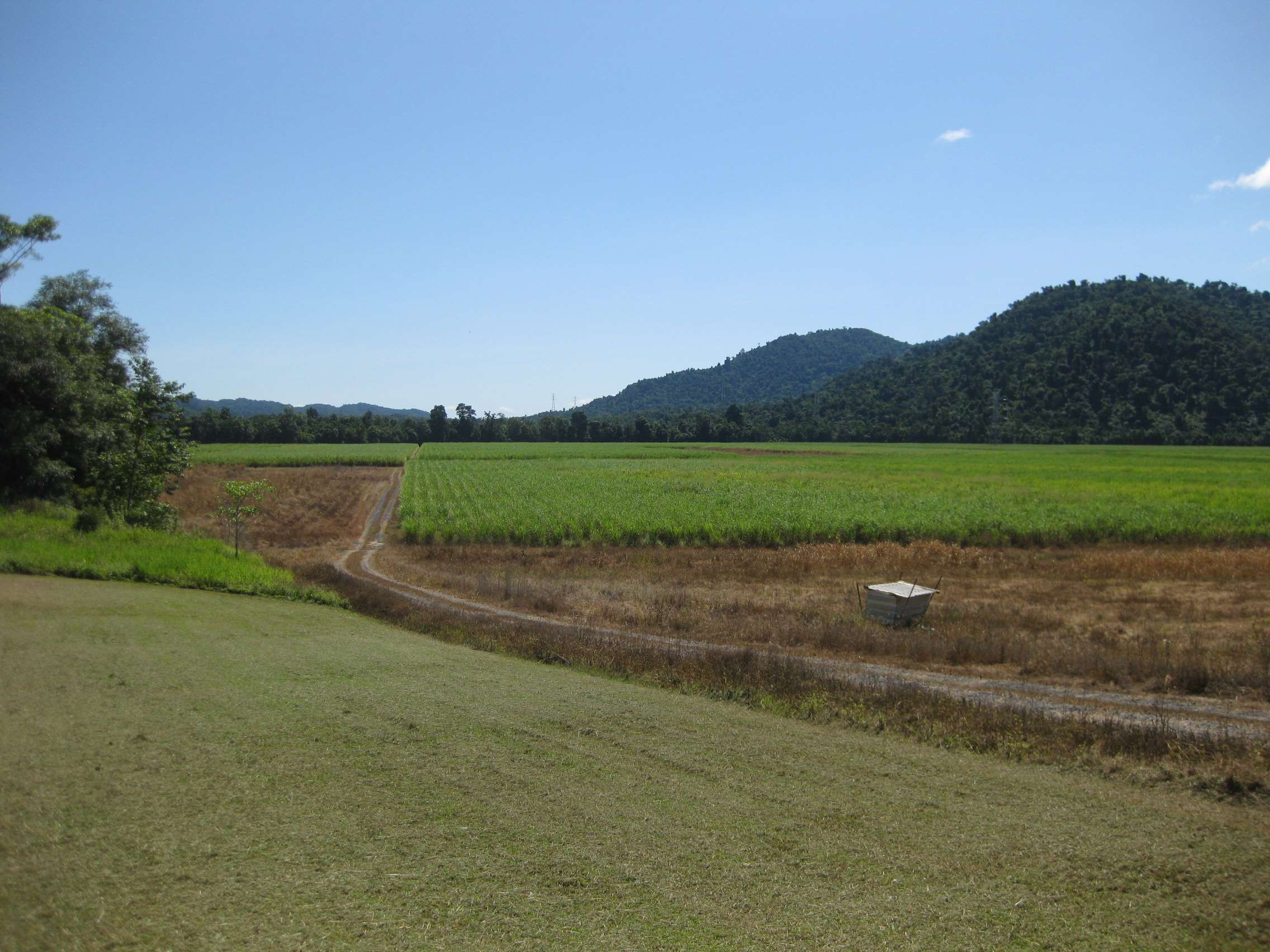 1136 SILKWOOD - JAPOON RD, JAPOONVALE QLD 4856, 0 રૂમ, 0 બાથરૂમ, Lifestyle Property