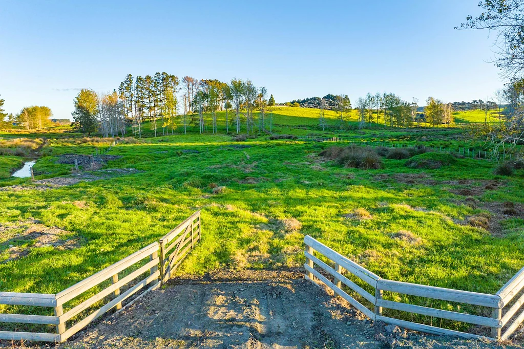 Waimauku  The Country Life Is Calling! (Geotech available)