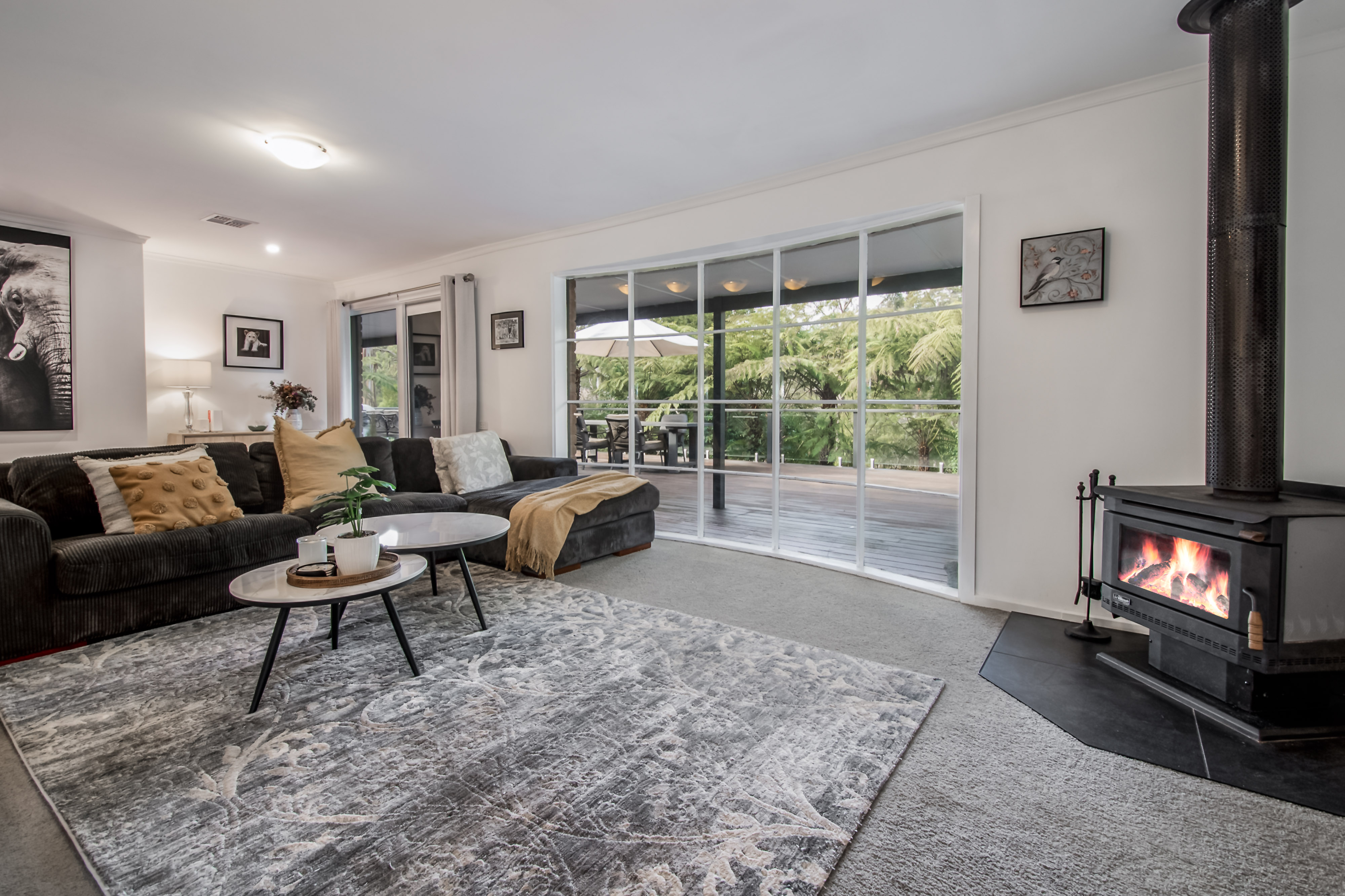 29-33 MCALLISTER RD, MONBULK VIC 3793, 0房, 0浴, House