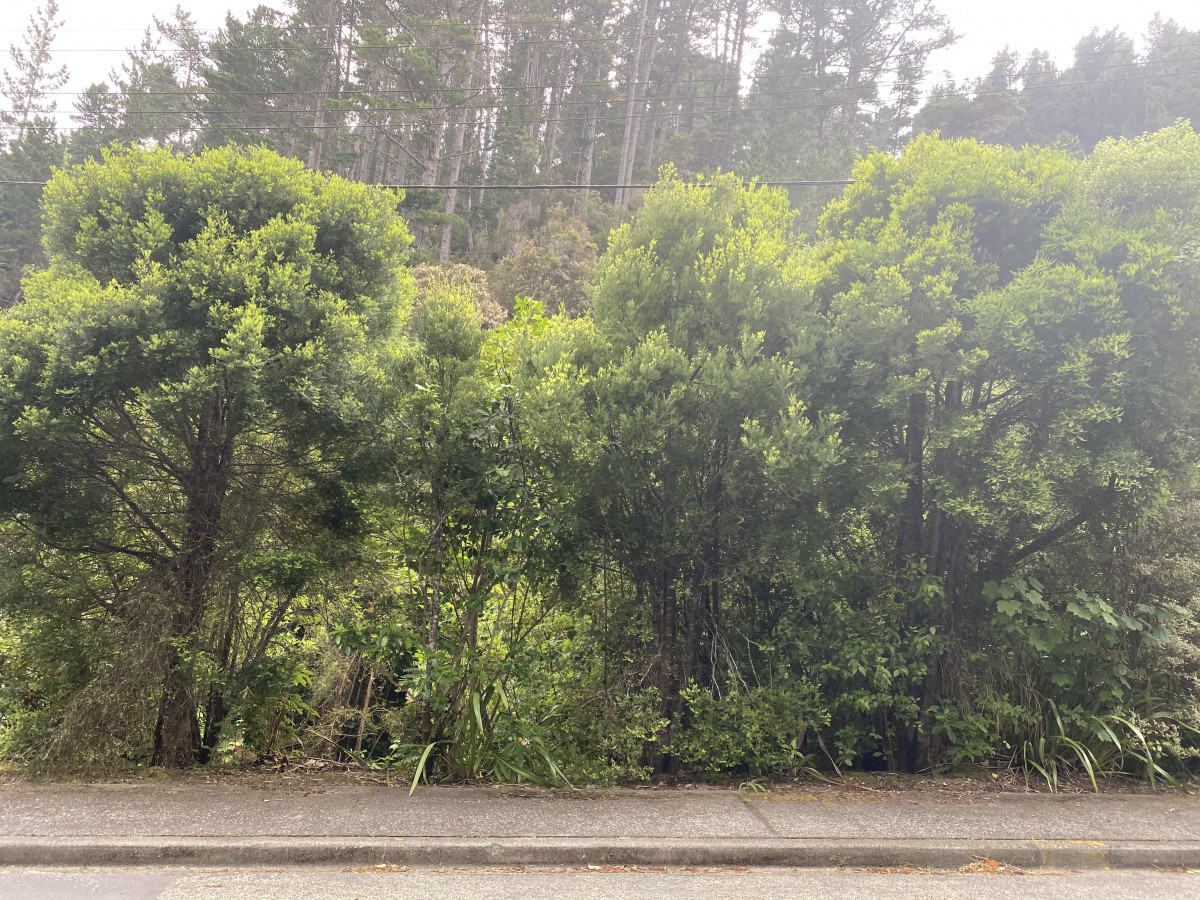 75 Elmslie Road, Pinehaven, Upper Hutt, 0房, 0浴