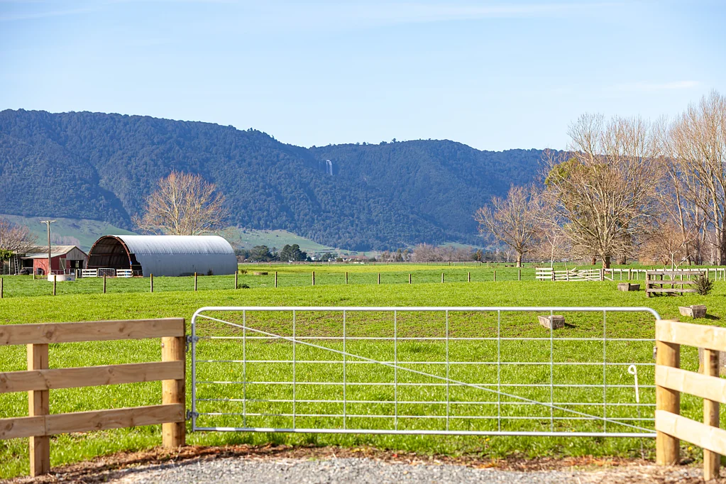 Lot 2 590 Wardville Rd, Matamata, Matamata-Piako, Waikato