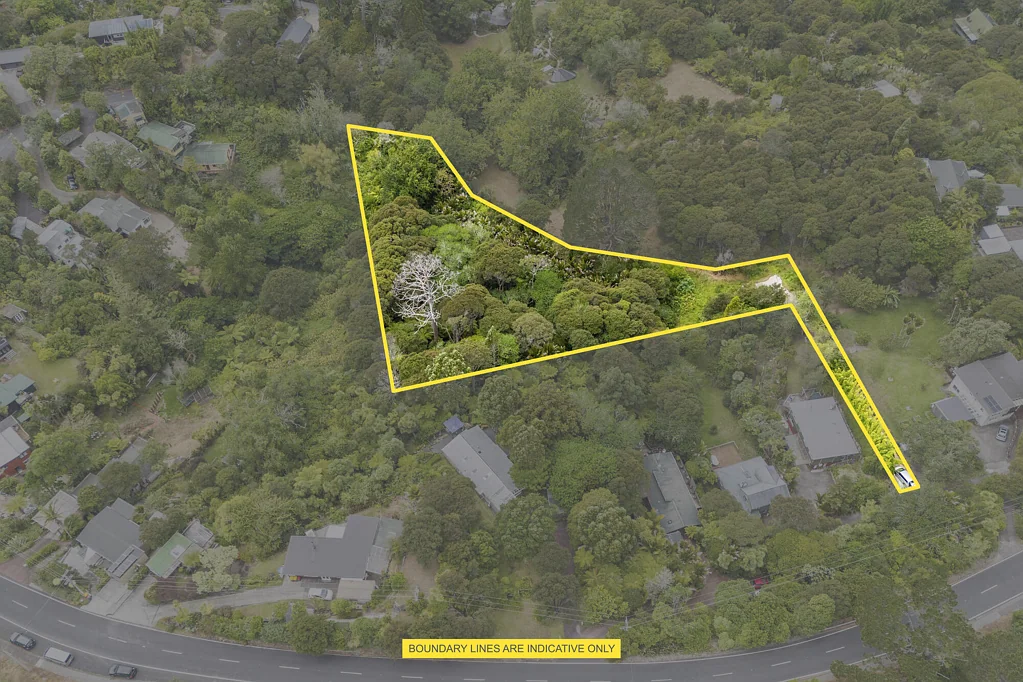 Titirangi TITIRANGI TREEHOUSE OPPORTUNITY