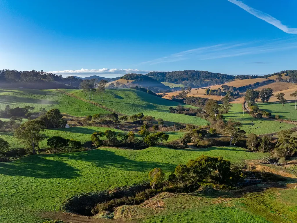 Dorrigo  Valleyrose Dairy