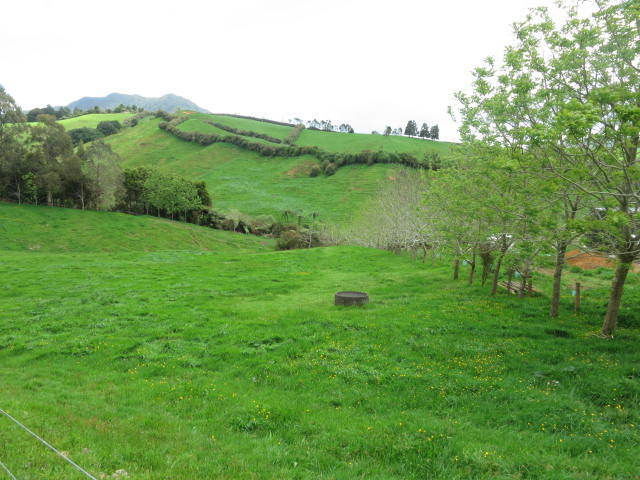 84 Kennedy Road, Waikino, Hauraki, 3 habitaciones, 0 baños