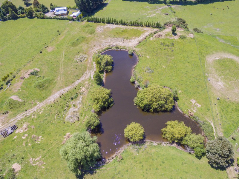 185 Mangahao Road, Shannon, Horowhenua, 0 rūma, 0 rūma horoi