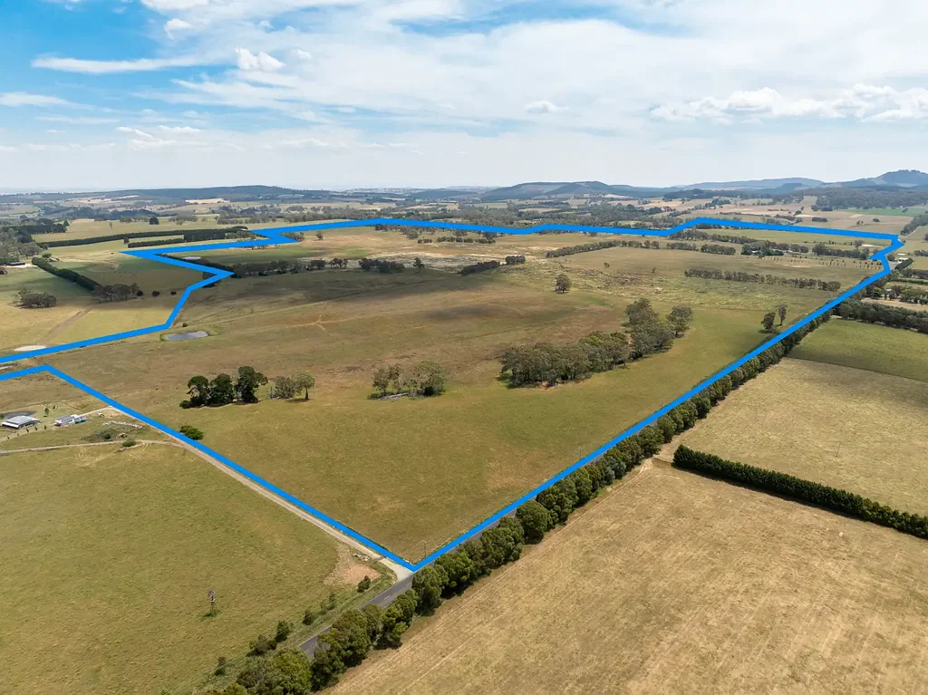 Springside ‘Sherborne’ – 56 Orchard Road, Springside via Orange