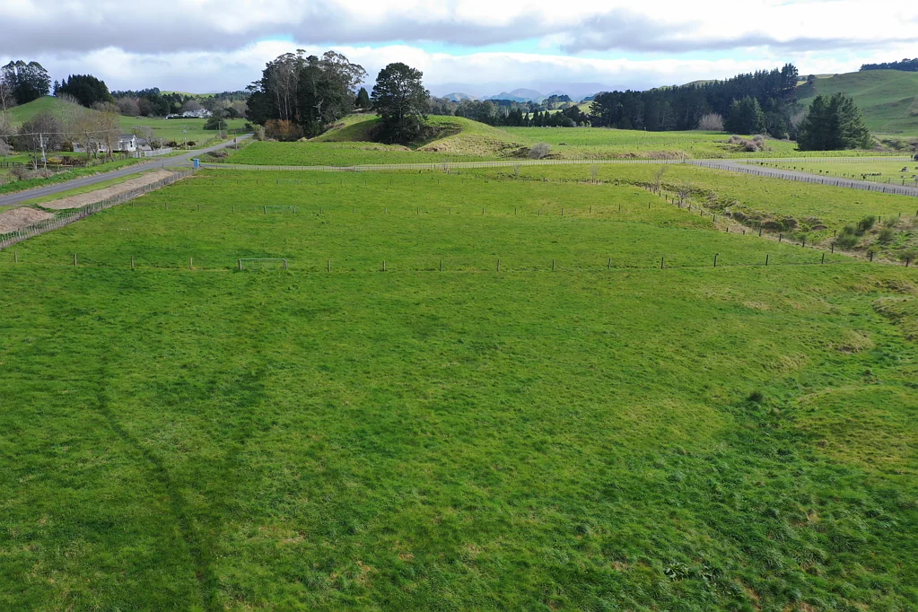 Dannevirke  Several purchase options
