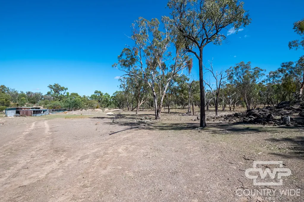 Wallangra  Slow Down & Spread Out – 52ha of Easy Country Living