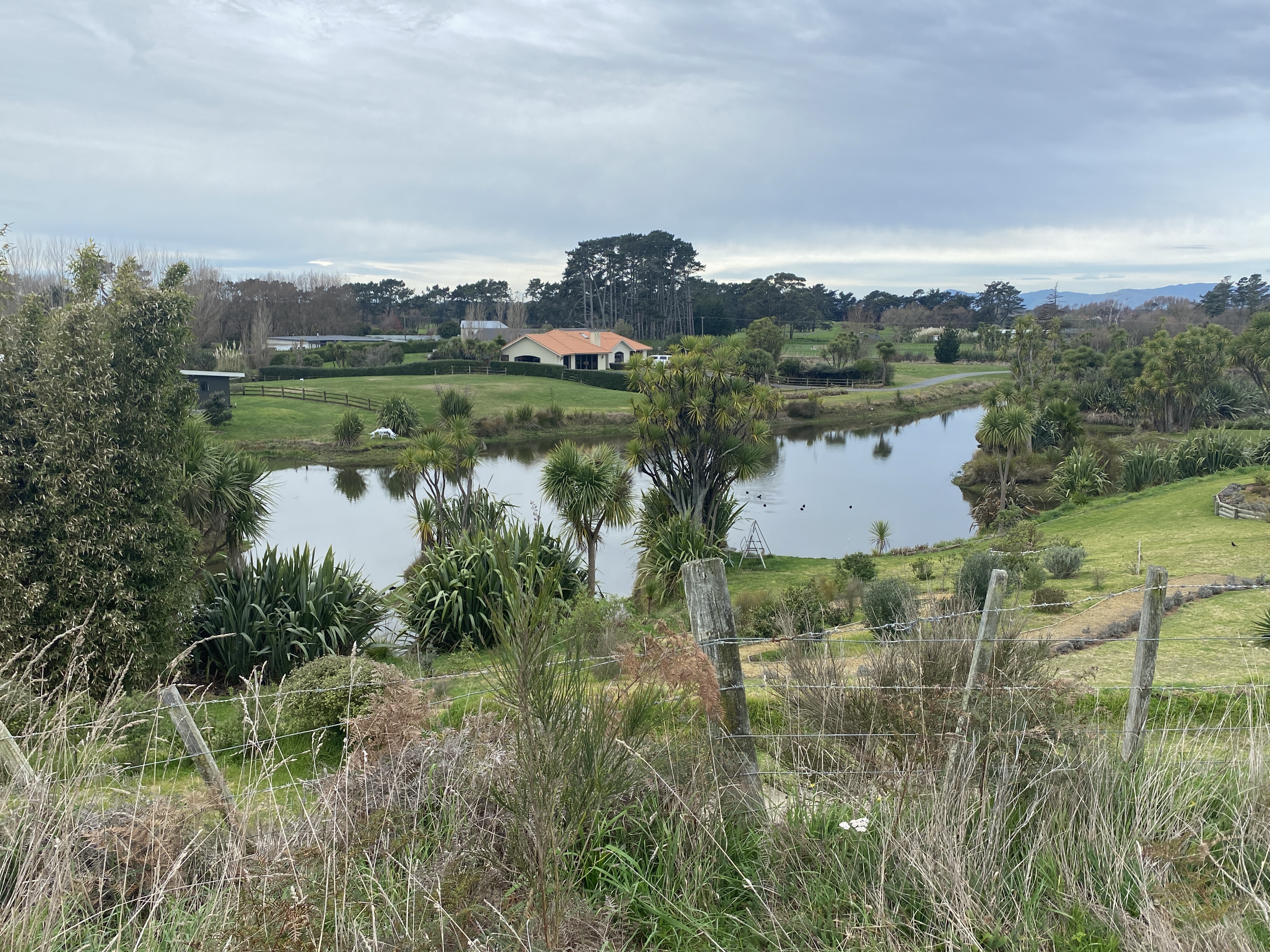 38 Palmer Road, Foxton Beach, Horowhenua, 0 chambres, 0 salles de bain, Section