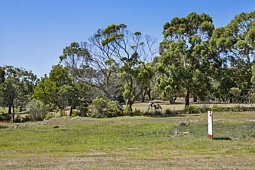 166 Hazards Views Drive, Coles Bay