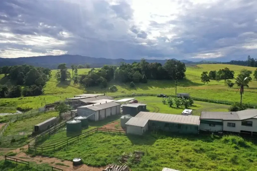 Millaa Millaa Acreage for sale