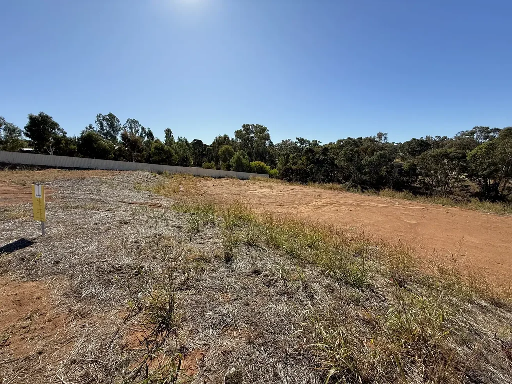 12 Kinlyside Close, Young, NSW 2594
