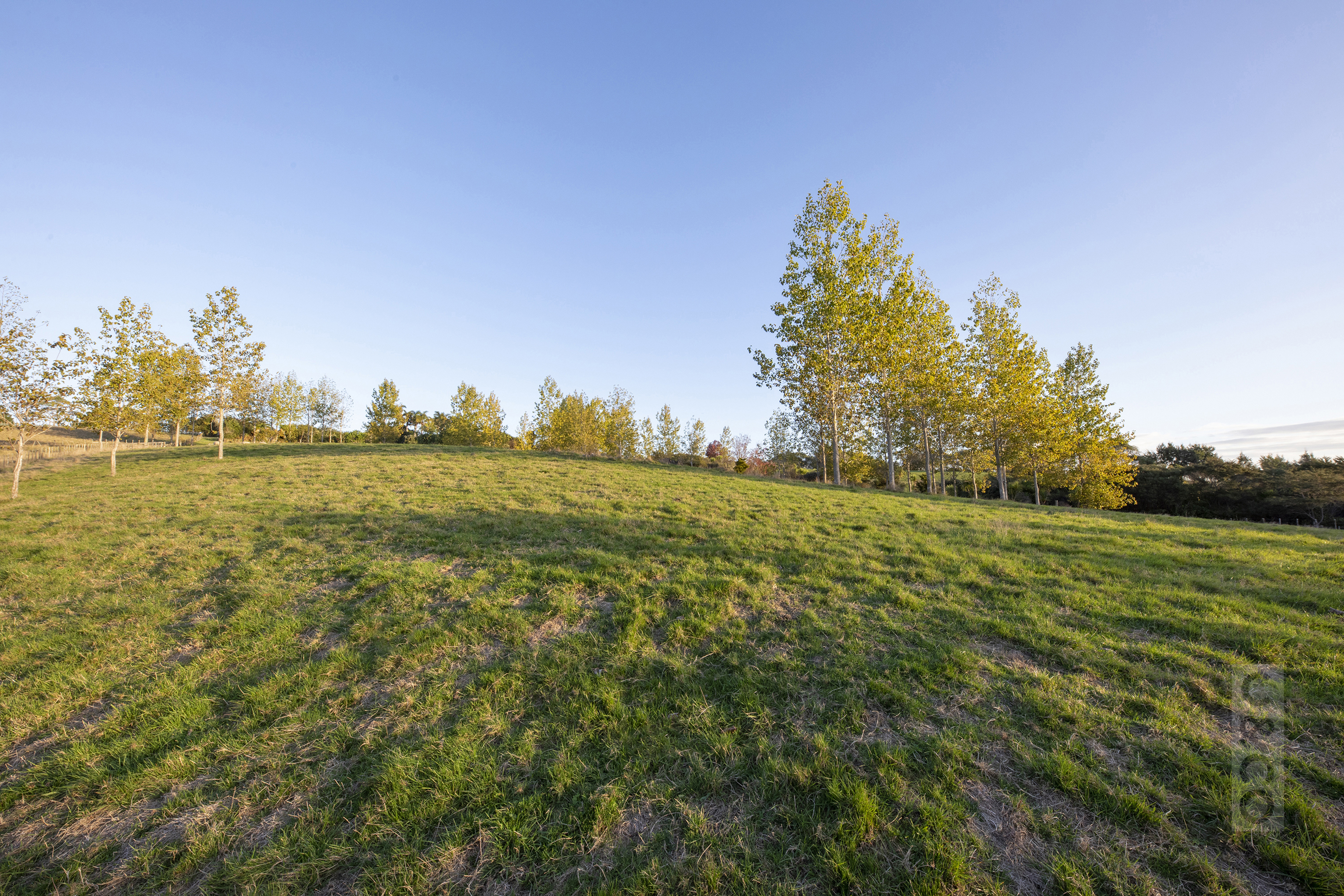 524 Ridge Road, Riverhead, Auckland - Rodney, 0 habitaciones, 0 baños, Section