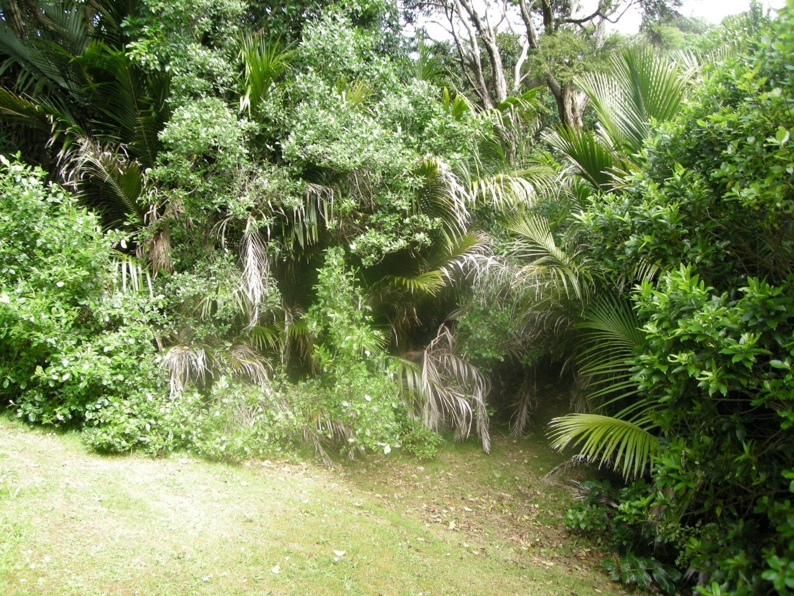 12 Obrien Road, Omiha, Auckland, 0 rūma, 0 rūma horoi