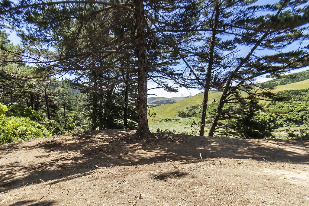 Makara A LIFESTYLE OPPORTUNITY!