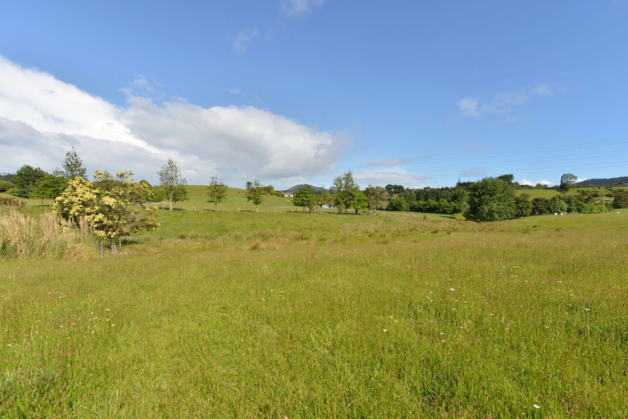 22 Purakau Road, Maunu, Whangarei, 4 침실, 0 욕실