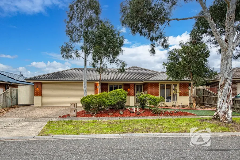 Cranbourne East 4房 时尚、宽敞，随时可入住的理想家园 Stylish, Spacious & Ready to Call Home