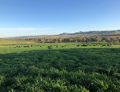 'Kierahmee' 53 Tyrone Rd, Bunnan via, Scone, Hunter, 0 chambres, 0 salles de bain, Lifestyle Property