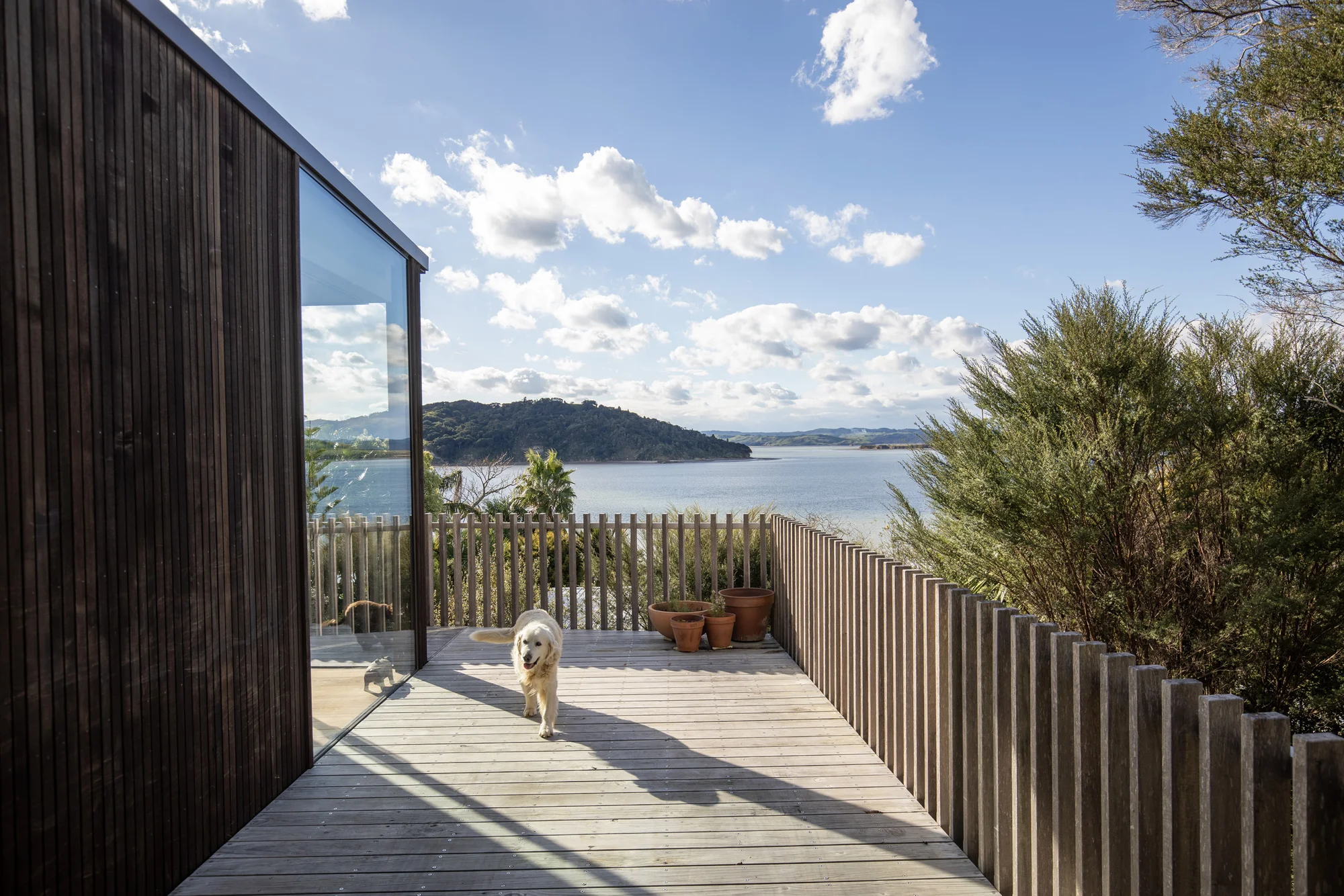 Raglan 3chambre Architectural with stunning views-Price reduced!