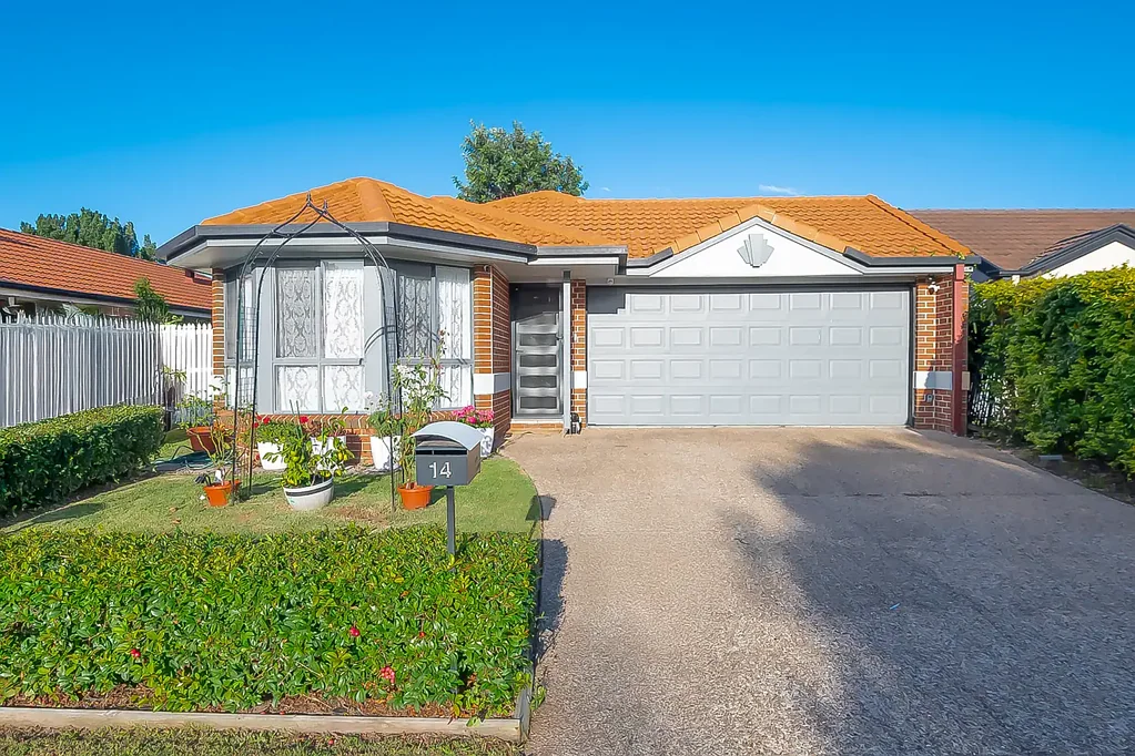 14 Brocket Avenue, Upper Coomera, QLD 4209