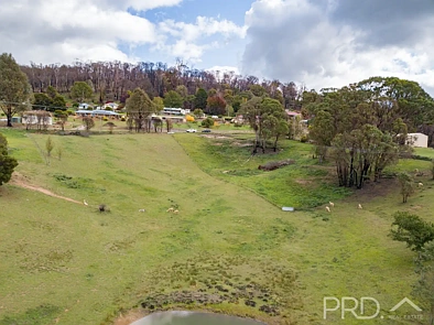 72-76 Mayday Road, Batlow, NSW 2730, 0 chambres, 0 salles de bain, Section