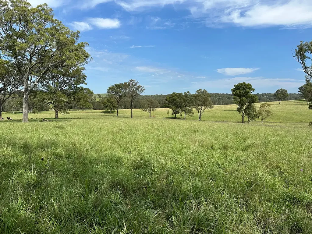 地址保密, Singleton, NSW 2330