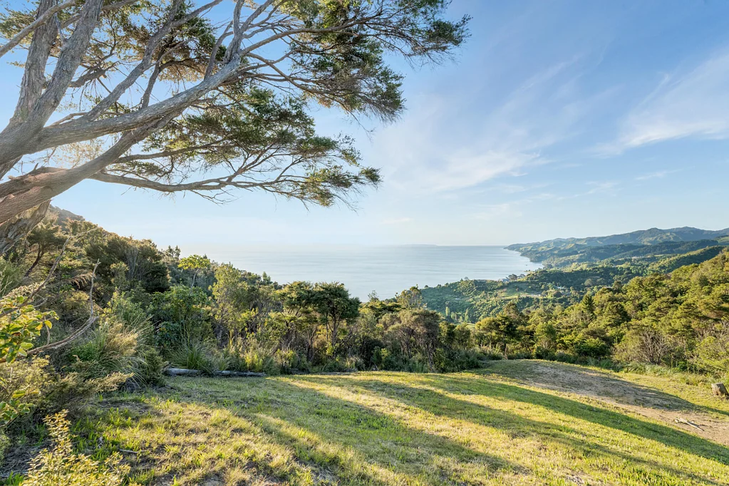 Tapu  Rise Above It All at Tapu Rise