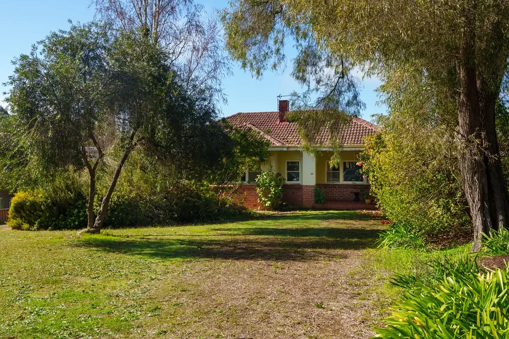 40 Mottram Street, Manjimup, WA 6258