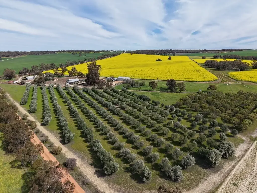Balkuling "Yarrabin"                     64.83ha (160.13acres)