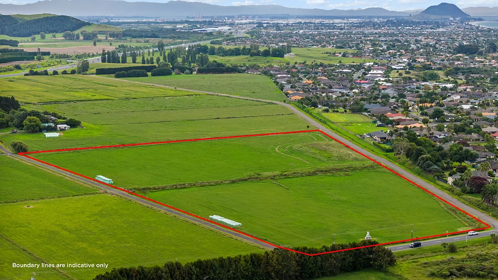 Papamoa Pivotal Papamoa opportunity