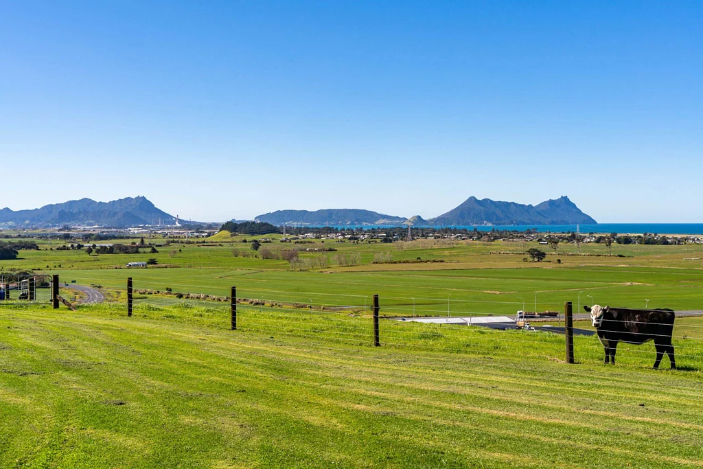 Ruakaka 5 Bedroom Unrivalled Coastal Views, Endless Potential