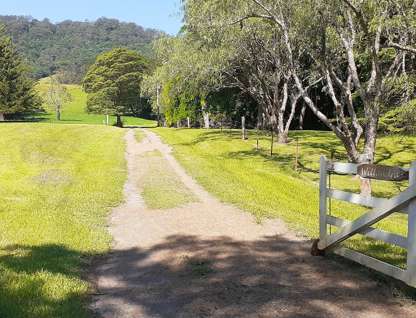 60 Hillandale Road, Broughton Vale, NSW 2535, 3 Bedrooms, 1 Bathrooms, Lifestyle Property