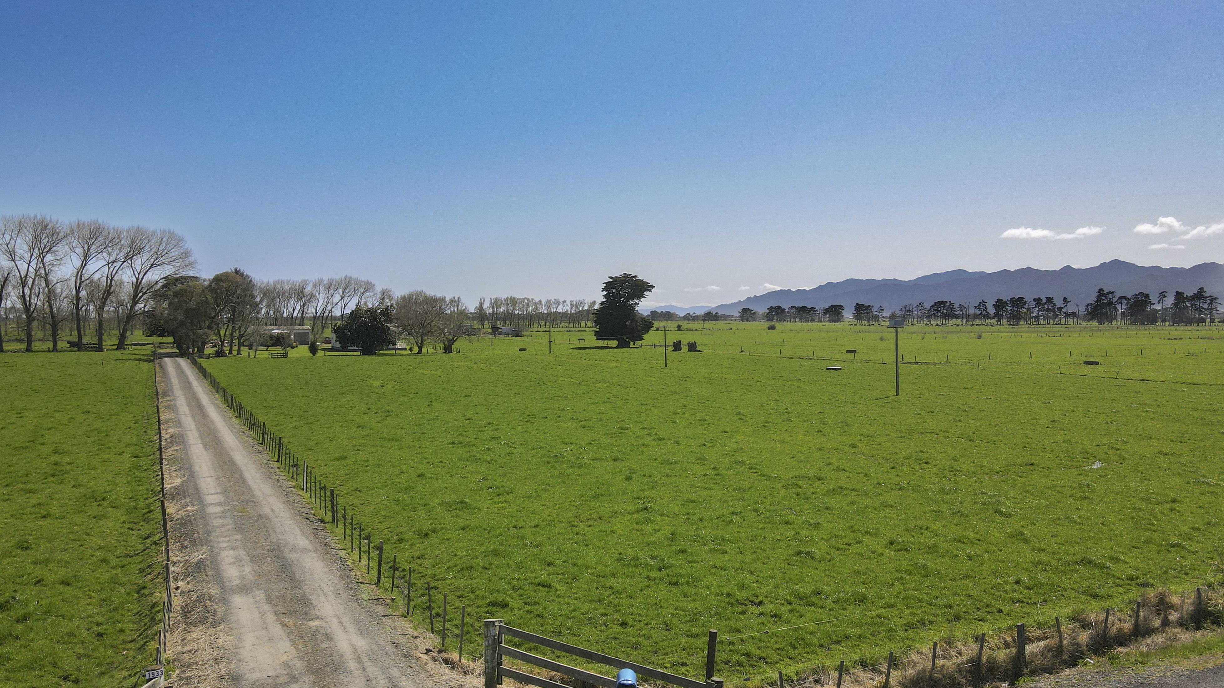 1933 State Highway 25, Orongo, Hauraki, 5 રૂમ, 0 બાથરૂમ, Lifestyle Property