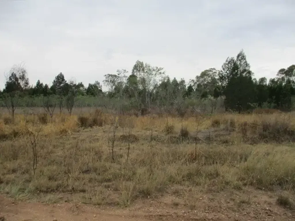 Tara Untouched piece of land!