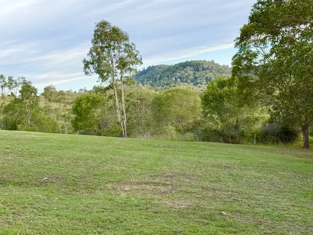 419 Russells Road, Pine Mountain, QLD 4306