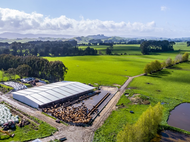 108 Pukewhai Road, Pahiatua, Tararua, 0 રૂમ, 1 બાથરૂમ