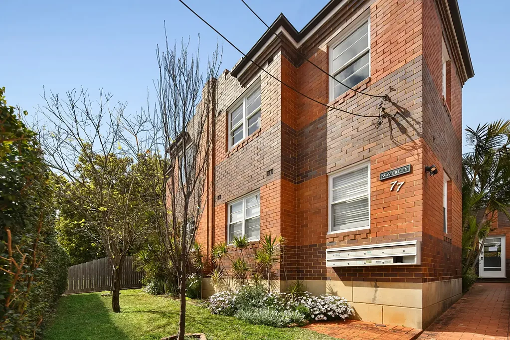 8/77 Alt Street, Ashfield, NSW 2131
