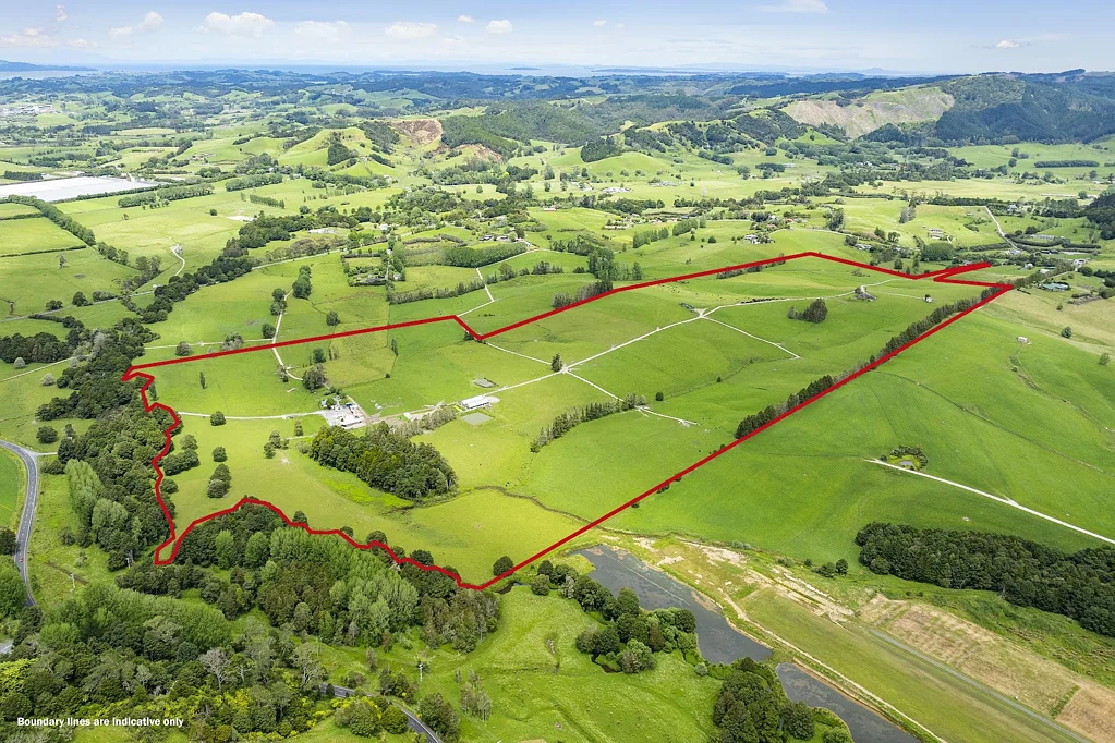 Kaipara Flats 97.7Ha Dairy Farm + Two Homes (7 Freehold Titles)