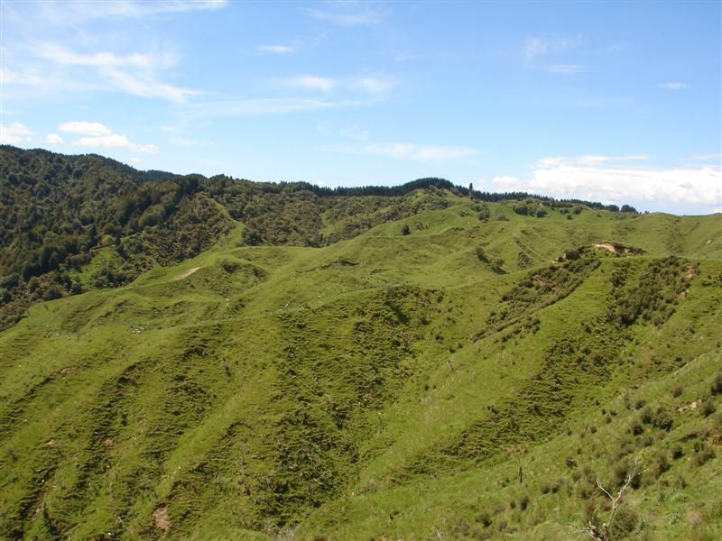 4275 Kawautahi Road, Owhango, Ruapehu, 0 habitaciones, 1 baños