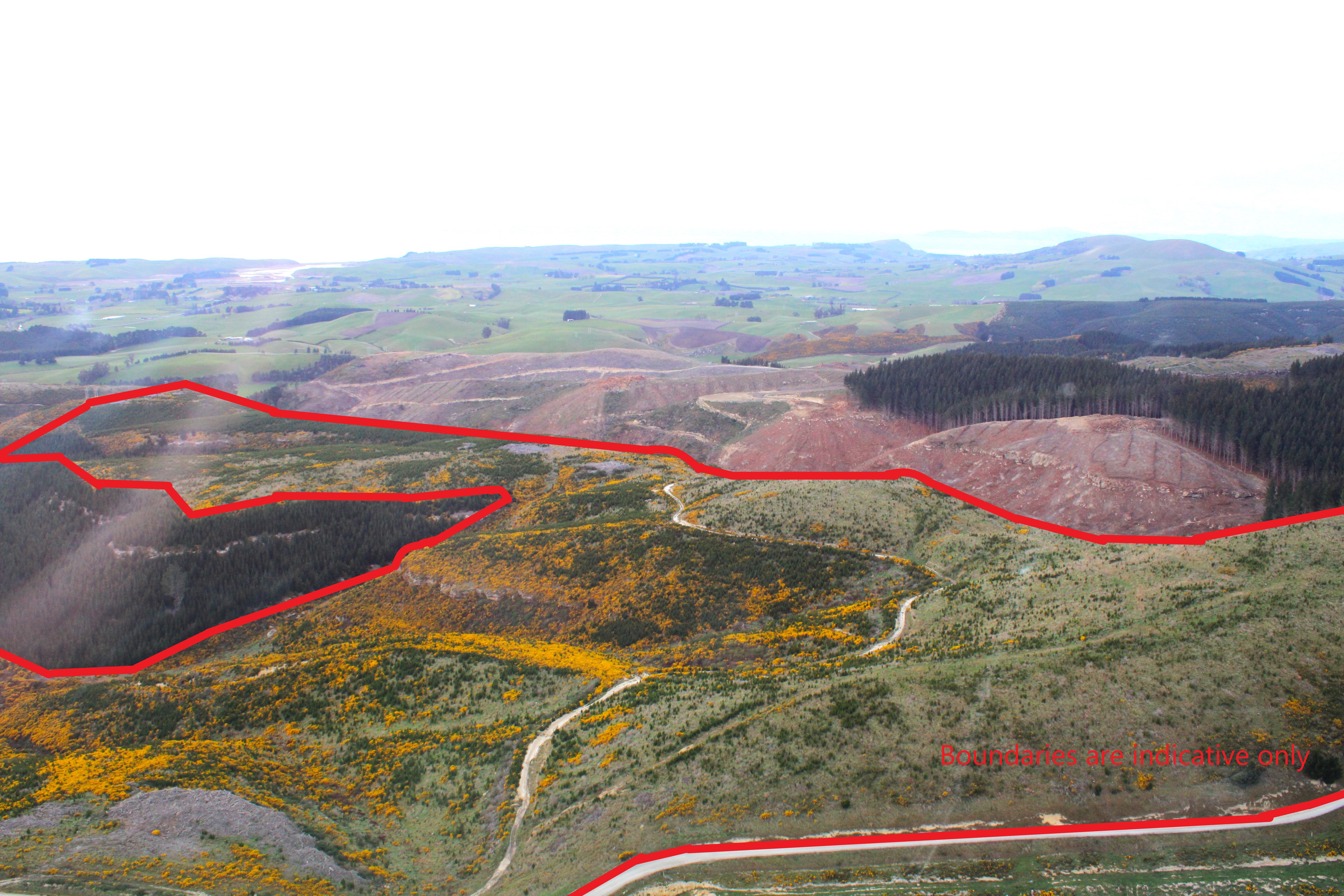 Mount Trotter Road, Palmerston, Waitaki, 0 habitaciones, 1 baños, Forestry