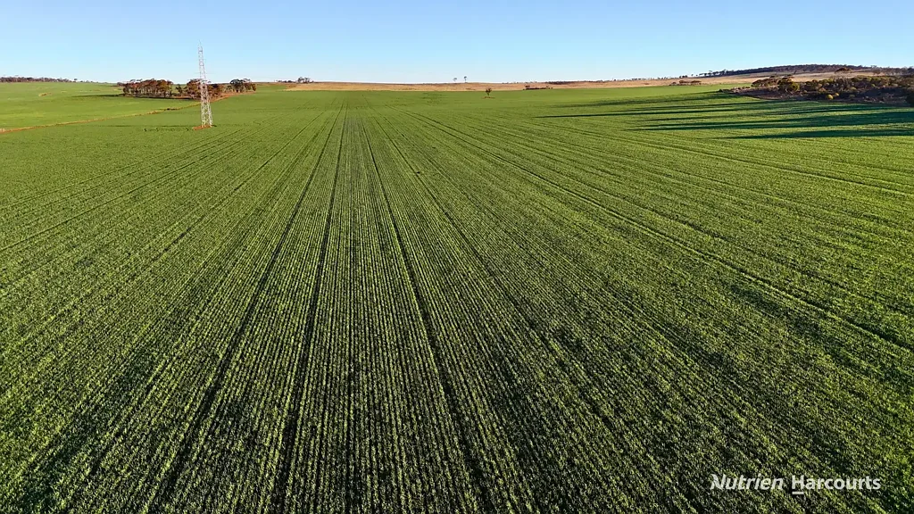 Southern Cross  "RADIO HILL"