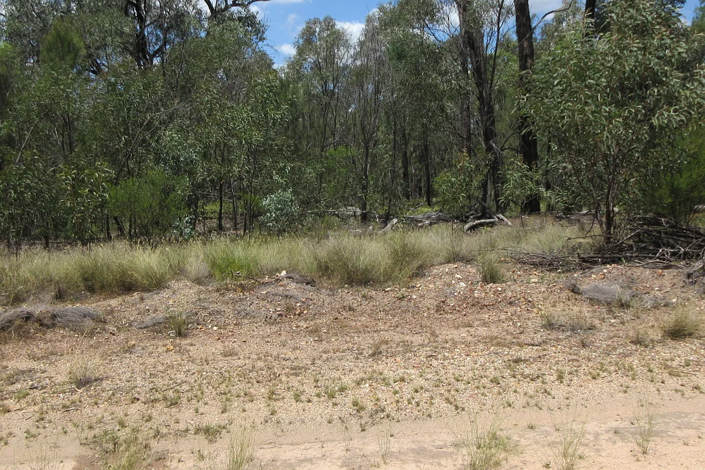 Tara 45.49 Acres close to Tara